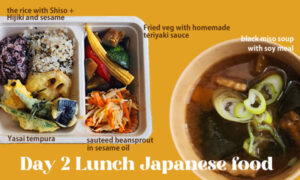 Lunch on Day 2: Japanese food Explained